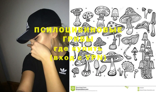 марки nbome Козельск